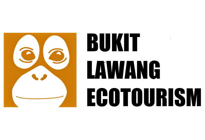 Bukit Lawang Ecotourism