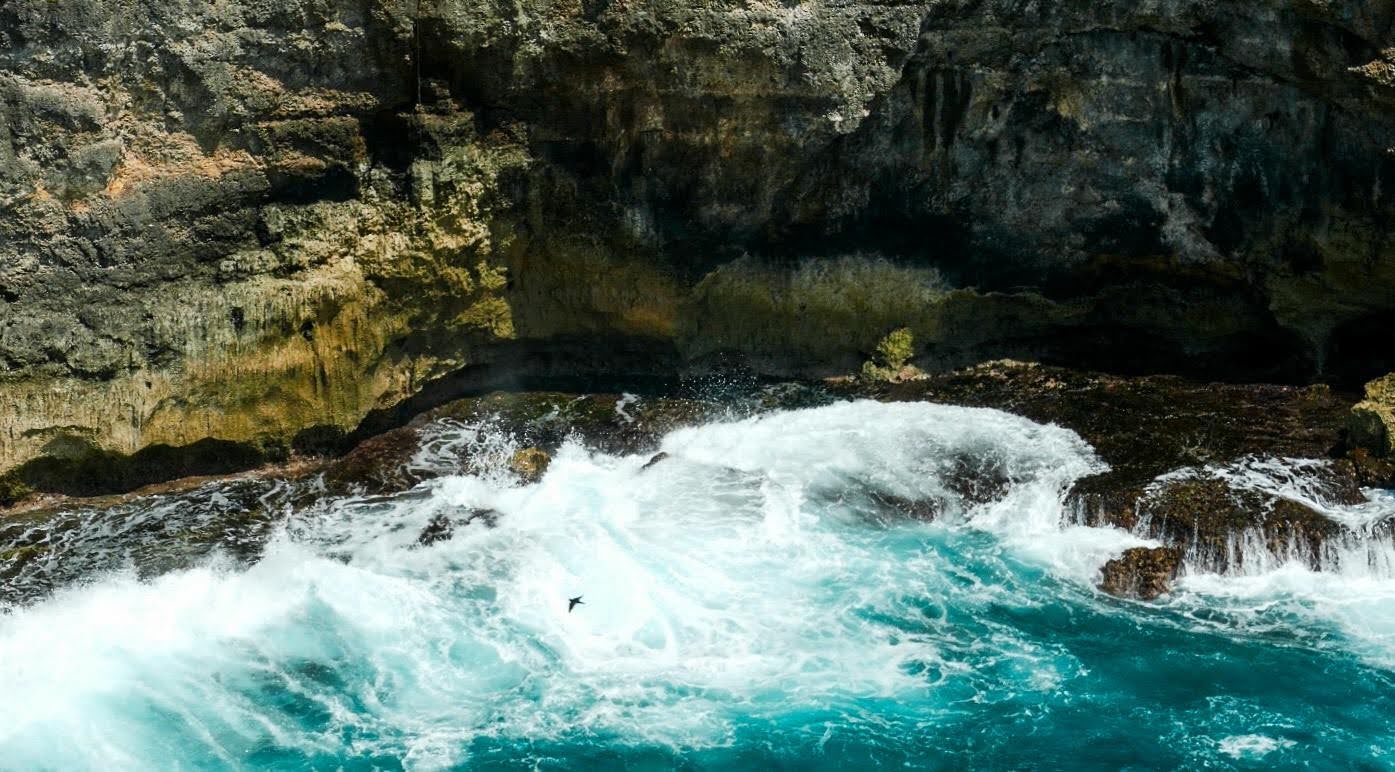 Devil’s Billabong: A Cave Swiftlet (Collocalia linchi) Quietly Appears Within the Frame Devil’s Billabong: A Cave Swiftlet (Collocalia linchi) Quietly Appears Within the Frame