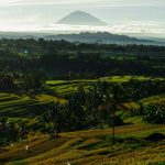 Mt Agung View of Rice Terrace