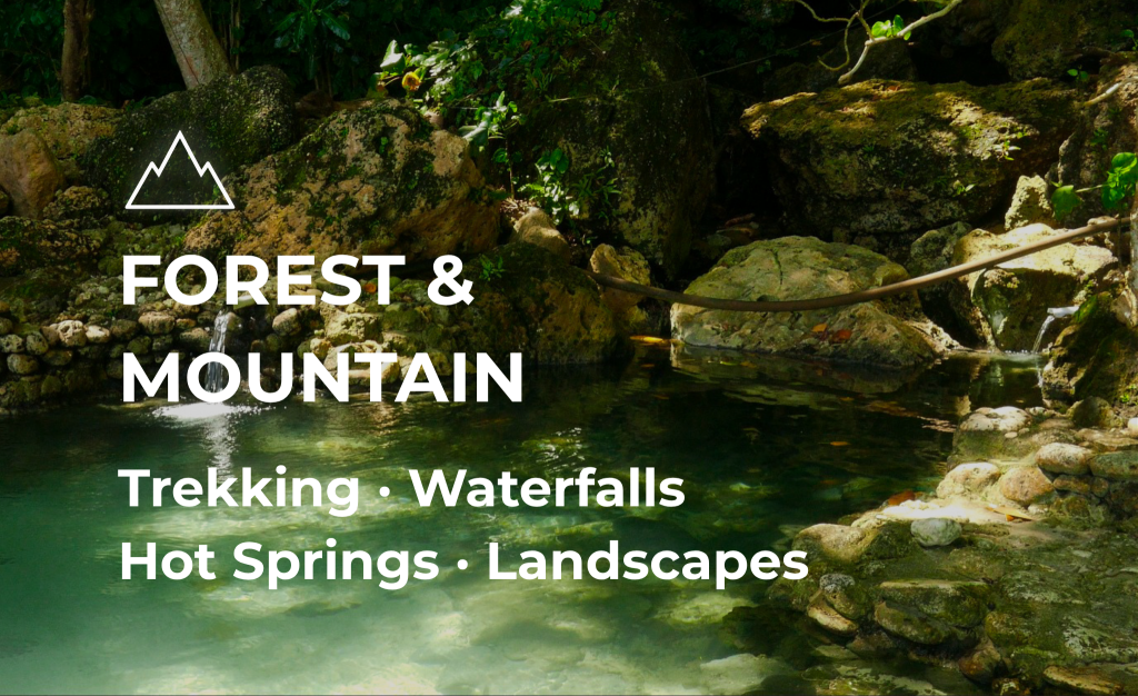 Forest & Mountain Diagram for Homepage